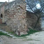 La Palmera De La Insula