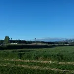 La Palmera De La Insula * Alcala de Ebro
