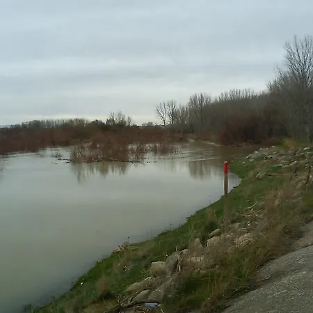 La Palmera De La Insula * Alcala de Ebro