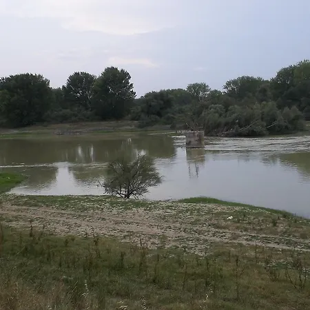 La Palmera De La Insula Alcala de Ebro