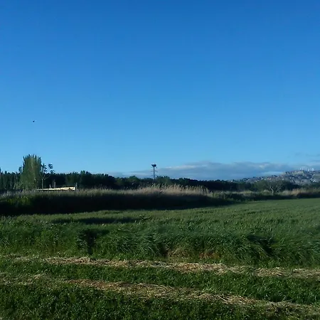 La Palmera De La Insula * Alcala de Ebro