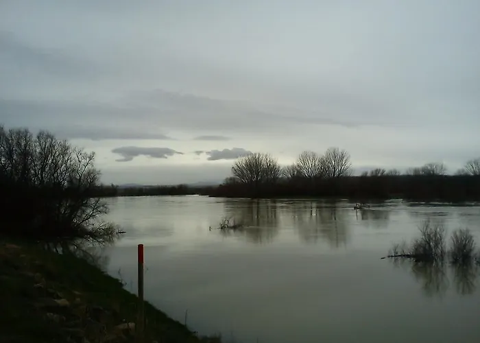 La Palmera De La Insula カントリーハウス *