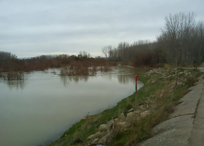 La Palmera De La Insula * Alcala de Ebro