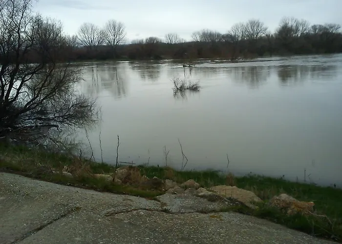 La Palmera De La Insula Casa di campagna Alcala de Ebro