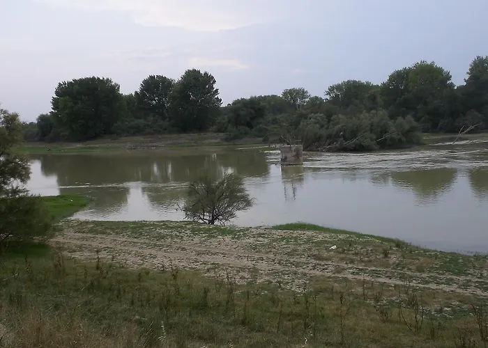 La Palmera De La Insula Alcala de Ebro