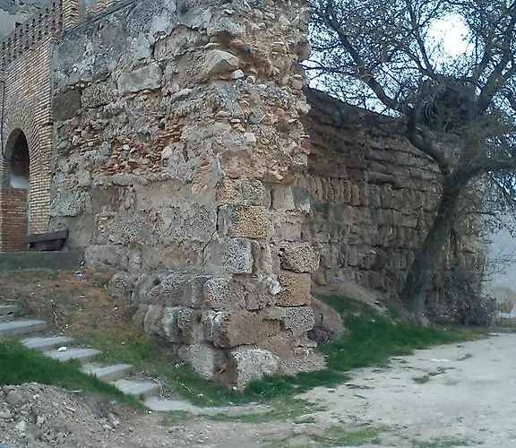 La Palmera De La Insula