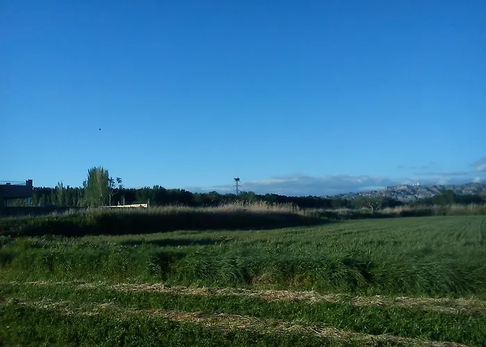 La Palmera De La Insula * Alcalá de Ebro