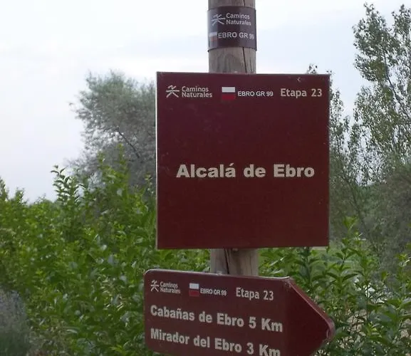 La Palmera De La Insula カントリーハウス Alcalá de Ebro