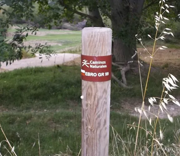 La Palmera De La Insula Alcala de Ebro