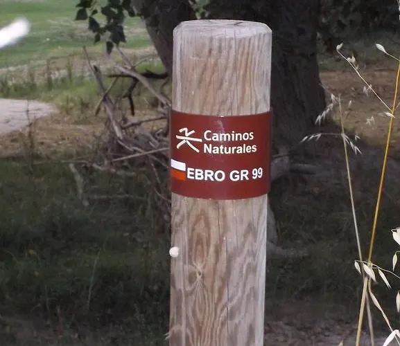 La Palmera De La Insula Casa di campagna